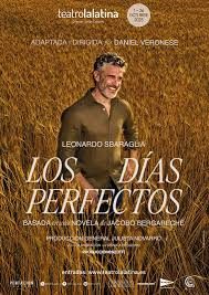 Afiche de Los días perfectos