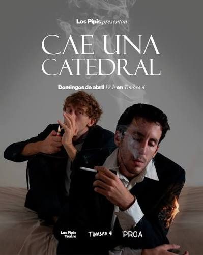 Afiche de Cae una catedral