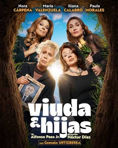 Afiche de VIUDA E HIJAS - HASTA QUE LA HERENCIA NOS SEPARE