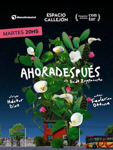 Afiche de Ahoradespués