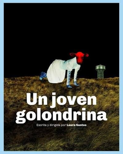 Afiche de Un joven golondrina